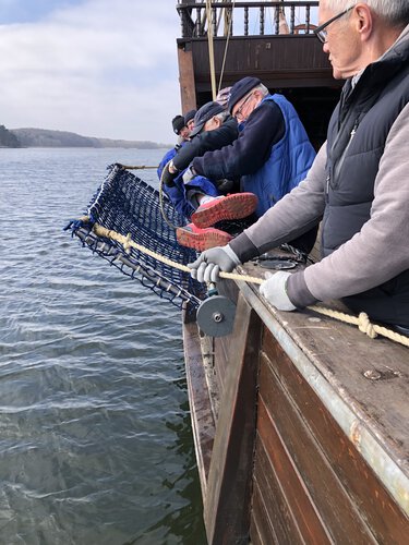 Person fast an Bord 3